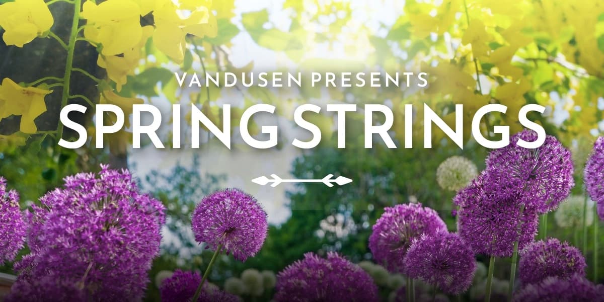 Vandusen Garden Presents: Spring Strings at VanDusen Botanical Garden
5251 Oak St