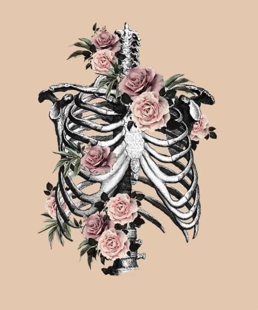 Early Show: Ribcage at Guilt & Co