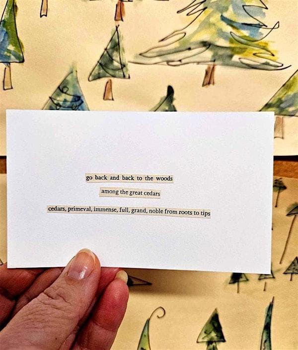 Emily Carr Inspired Art Class: FOUND POETRY at Carr House National Historic SiteVictoria