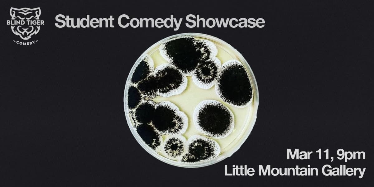 Blind Tiger Student Showcase at Little Mountain Gallery