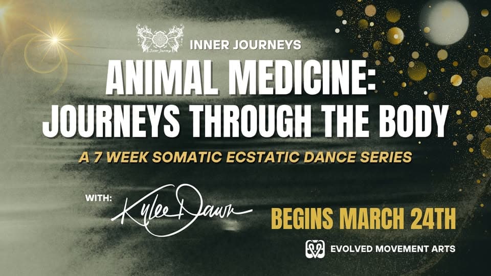 Inner Journeys - Animal Medicine: Journeys Through the Body at 4005 9 Street SE