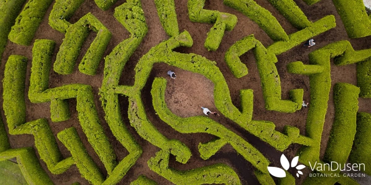 Vandusen Botanical Garden - April 2026 at VanDusen Botanical Garden
5251 Oak St