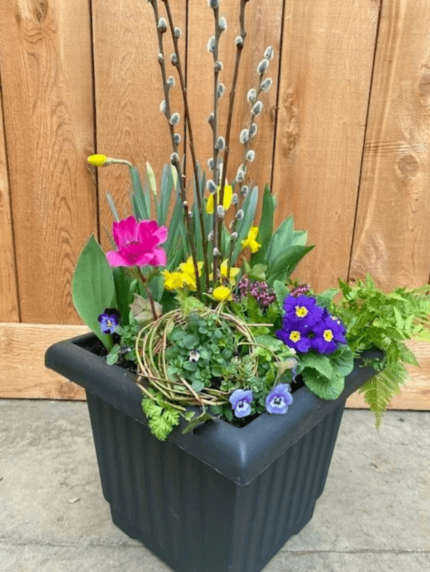 Spring Planter Workshop — Learning & Workshops in Victoria