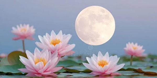 VAGUS VACATION Full Moon Nervous System Reset: yoga dance acu-soundbath at THE SANCTUARY, Church of Truth – Community of Conscious LivingVictoria, BC