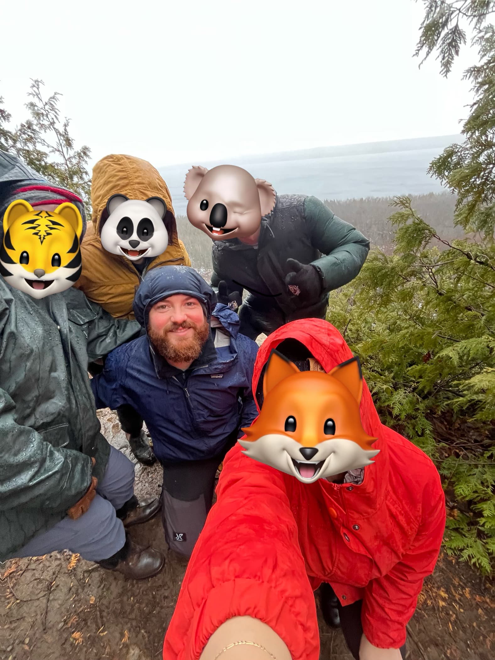 Community Hike — Outdoor Events in Victoria