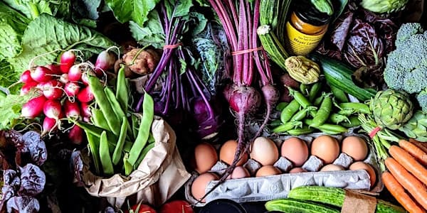 Local Harvest Cooking Class at 751 Travino Ln