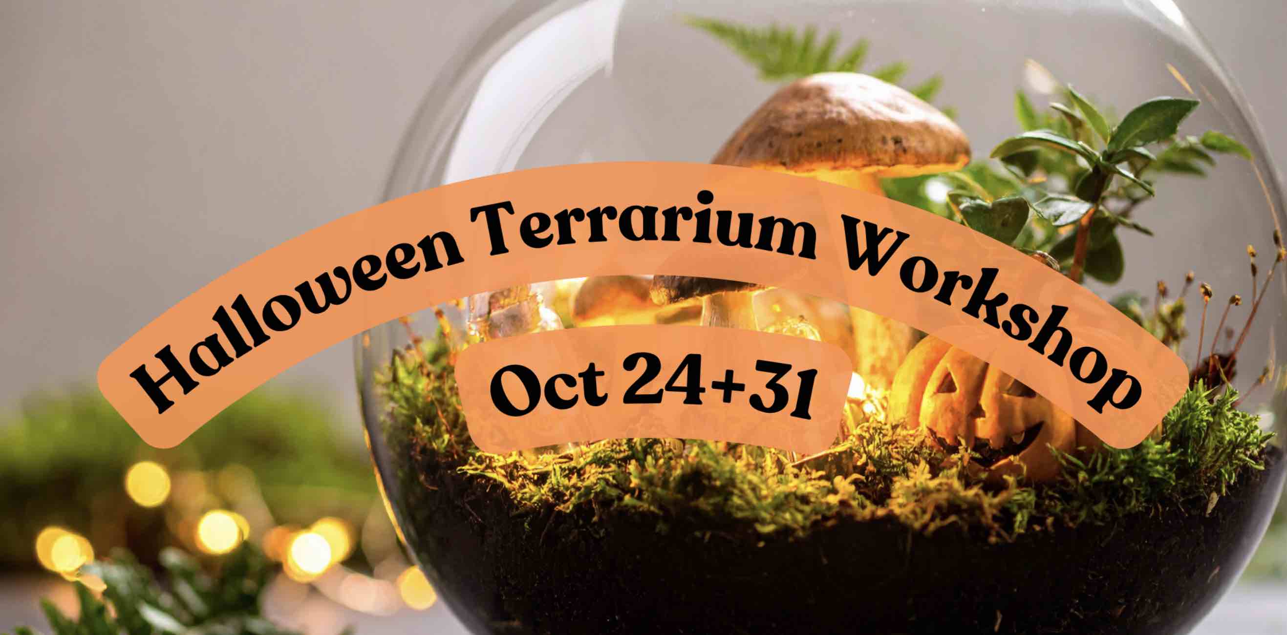Halloween Terrarium Workshop at VI Plant Shop #103 515 Chatham St Victoria BC