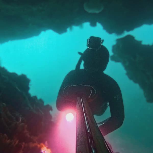 Snorkellers of BC monthly meet up at COAST Ocean Innovation Hub