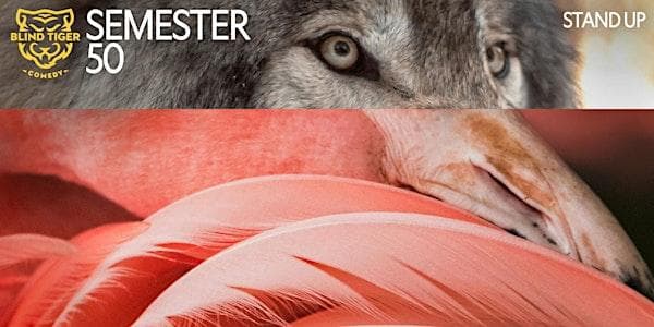 Stand Up 1 With Sasha Saturdays Starting May 02 at 120 Princess Ave