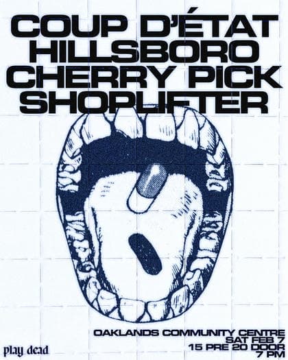 Coup D'etat, Hillsboro, Cherry Pick, Shoplifter at Oaklands Community Center