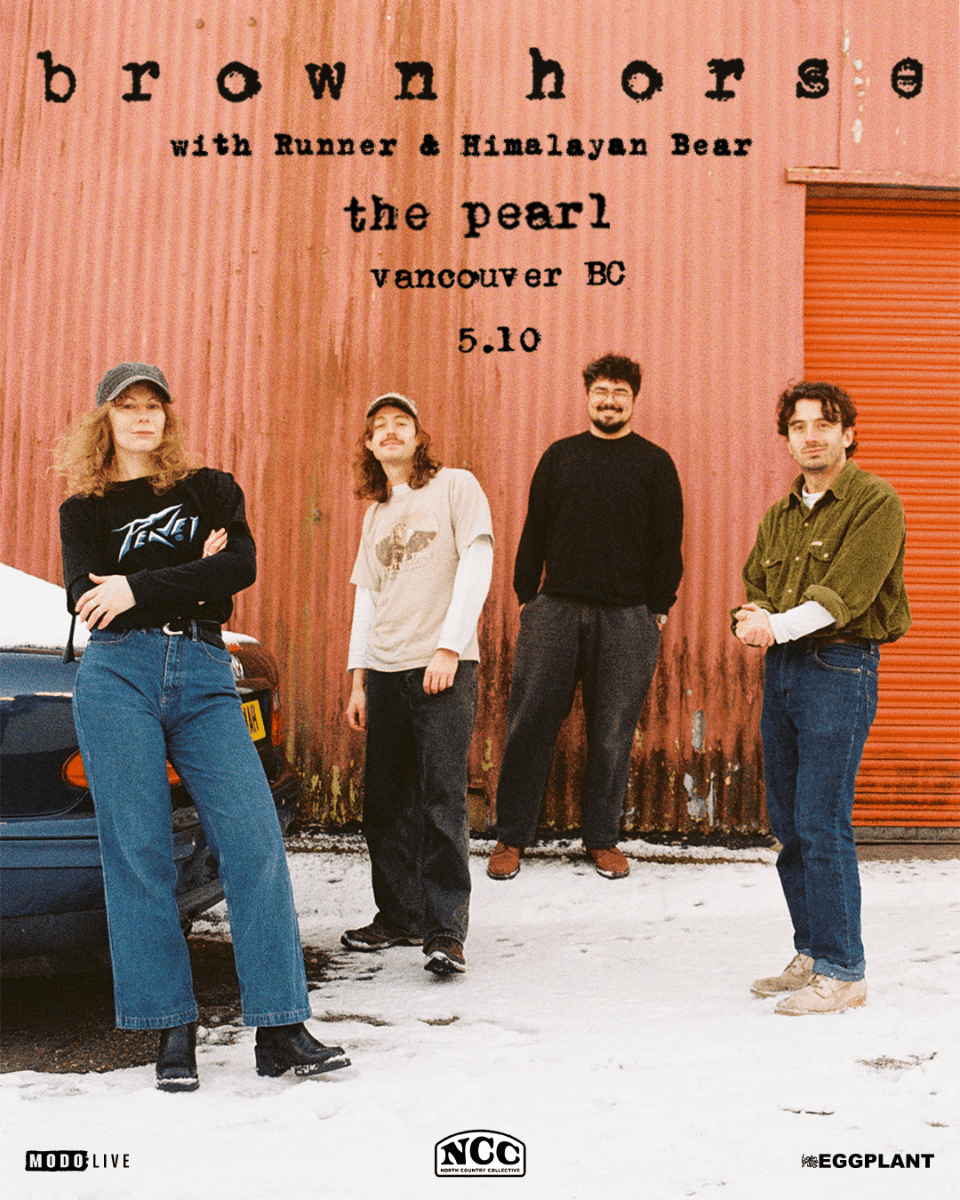 Brown Horse With Runner & Himalayan Bear at The Pearl