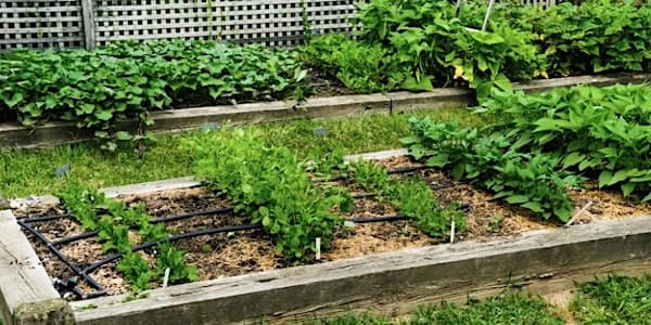 Plan and Prepare Your Garden at Compost Education Centre