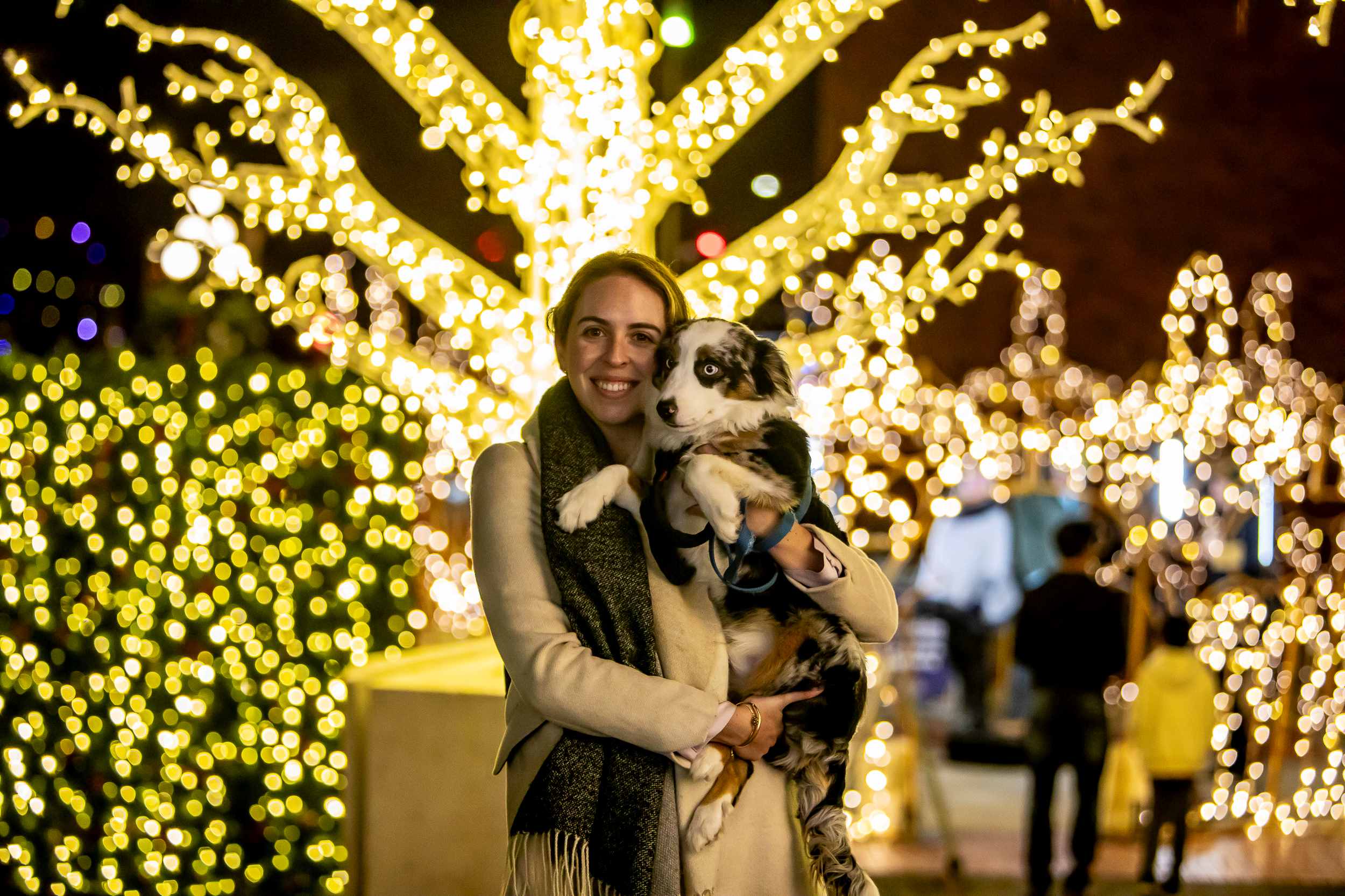 Lights of Wonder at Centennial Square