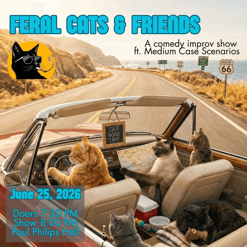 Feral Cats And Friends — Performing Arts in victoria