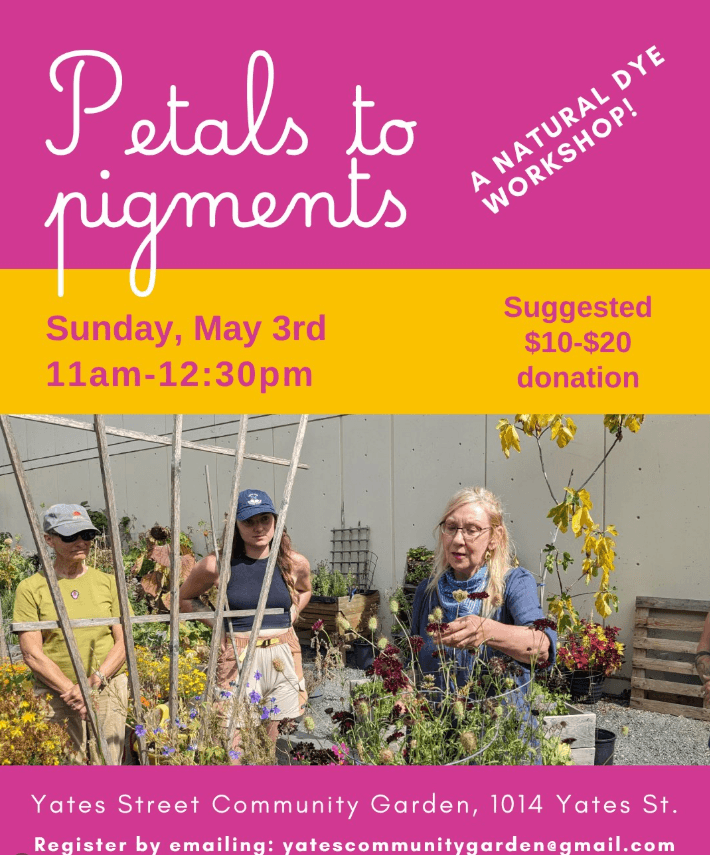 Petals to Pigments at Yates St. Community Garden