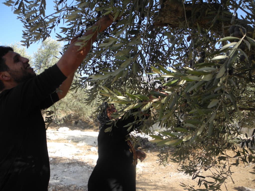 Café Simpatico at Paul Phillips Hall