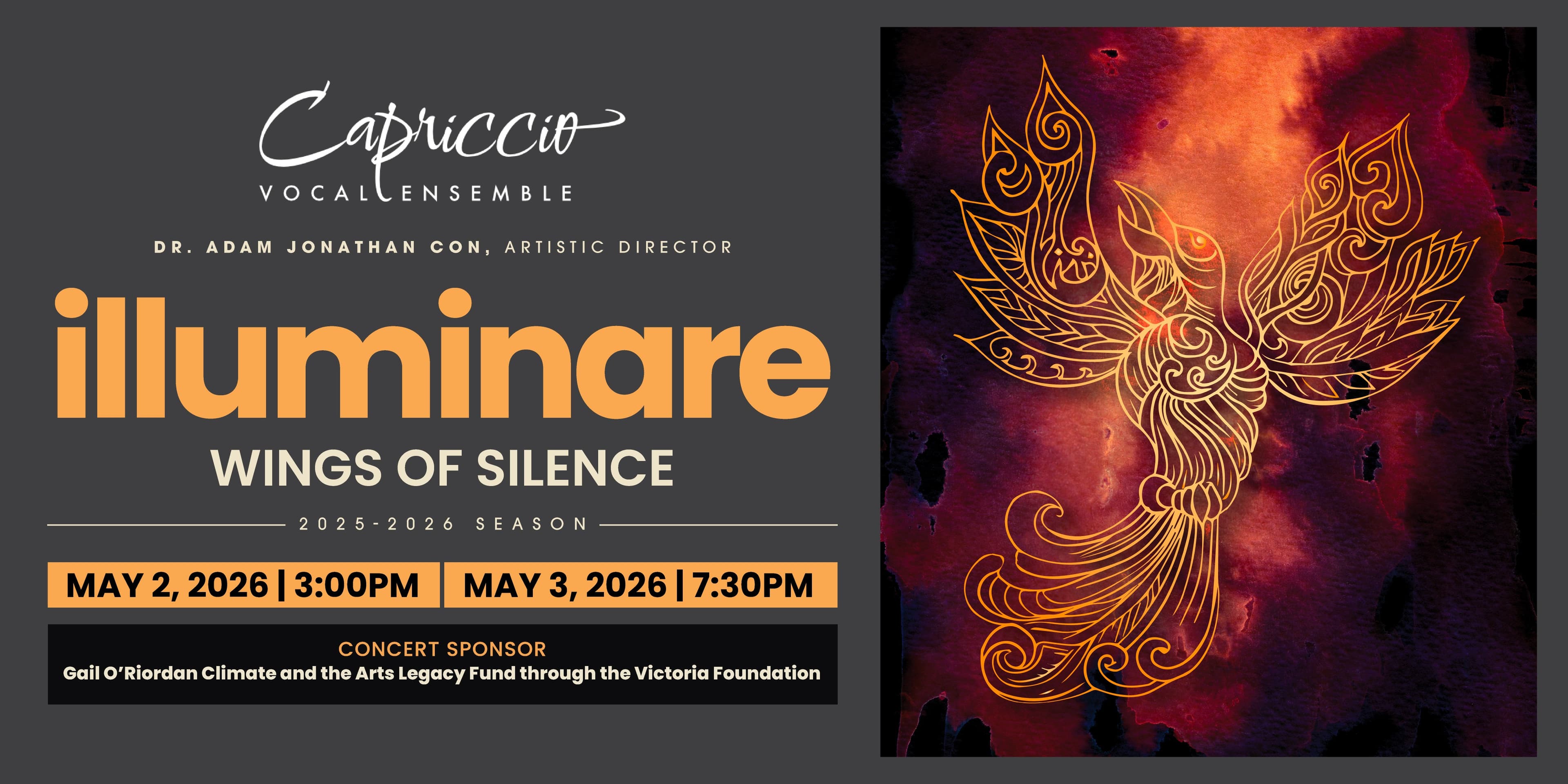 ILLUMINARE: Wings of Silence at Christ Church Cathedral
