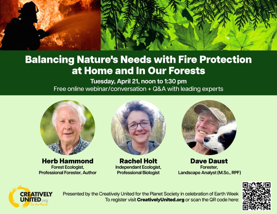 Protecting Trees, Dispelling Myths (free online webinar/Q&A) at Webinar