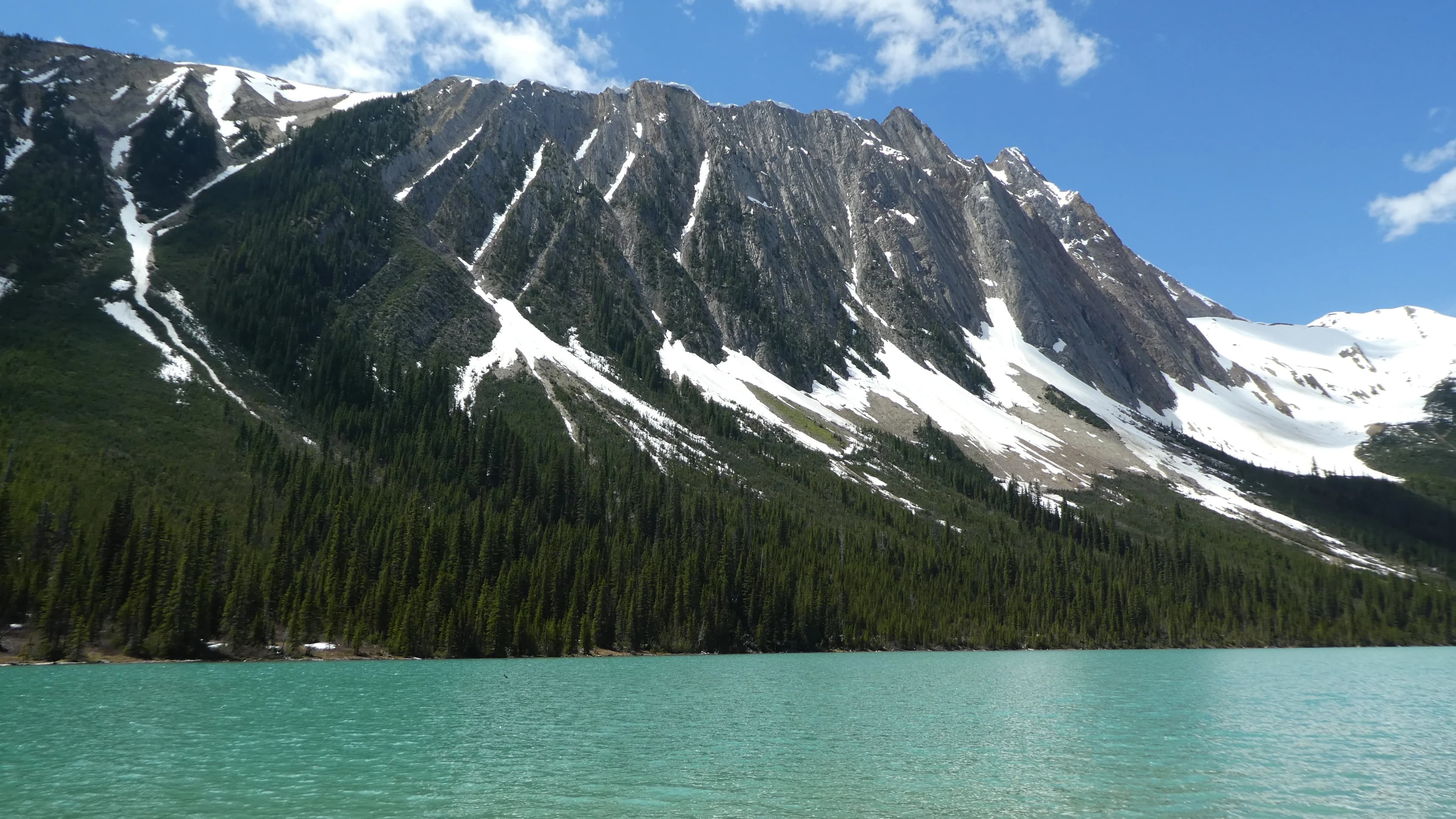 20th Anniversary Hikers' Drop-In Social - Joyce On 4th - 5:30 Tue Jun 9 at Joyce on 4th