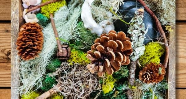 Nature-Based Expressive Arts: connecting with nature to promote natural creativity — Learning & Workshops in Victoria