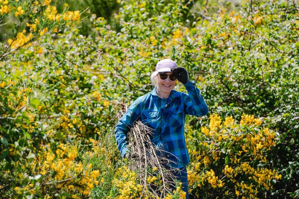 Earth Week Invasives Removal at Island View Beach