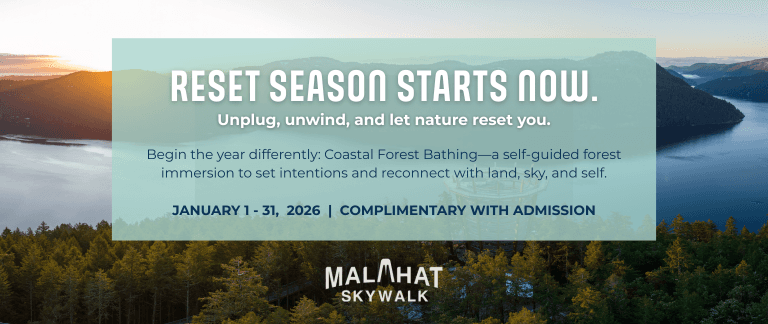 Coastal Forest Bathing at Malahat SkyWalk
