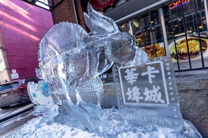 Carved In Ice at Patricia A. Whelan Performance Hall - Calgary Central Library