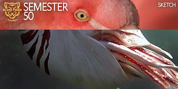 Sketch 2 With Tom Tuesdays Starting Apr 28 at 120 Princess Ave