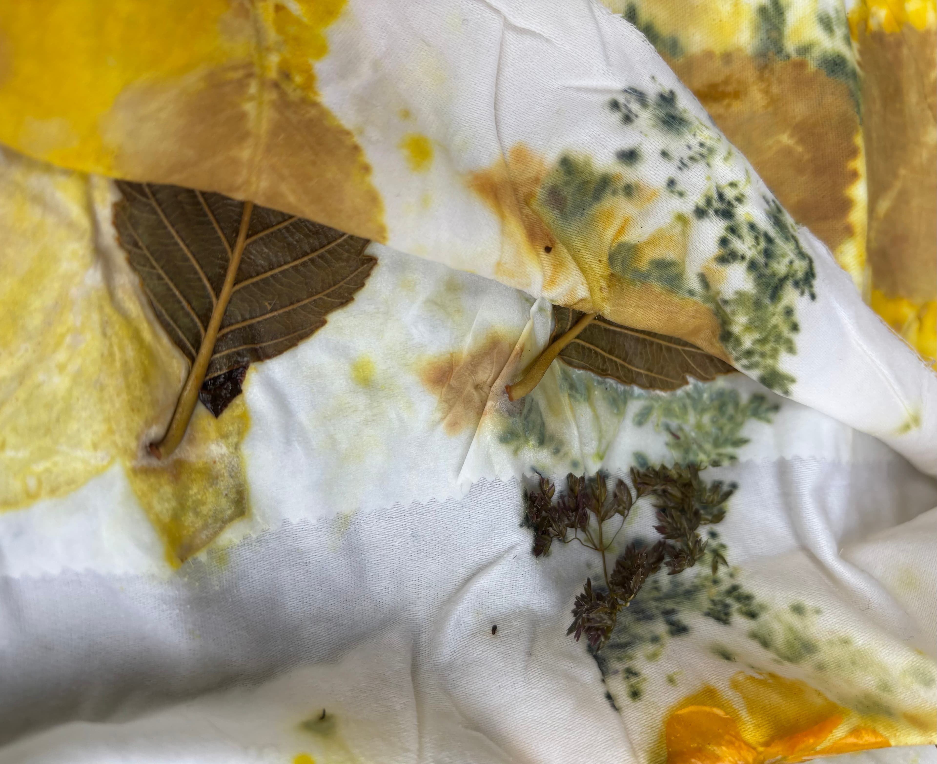 Eco Print on Fabric at Cedar Hill Recreation Centre
