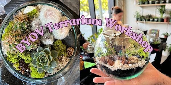 Byov Terrarium Workshop at VI Plant Shop