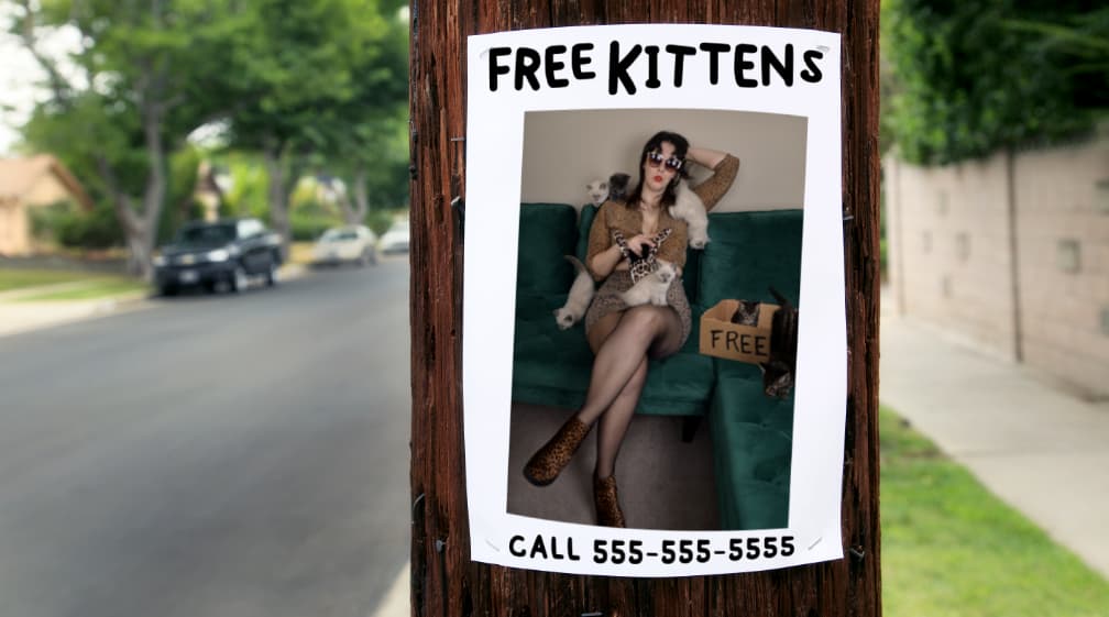 Free Kittens at C-Lab