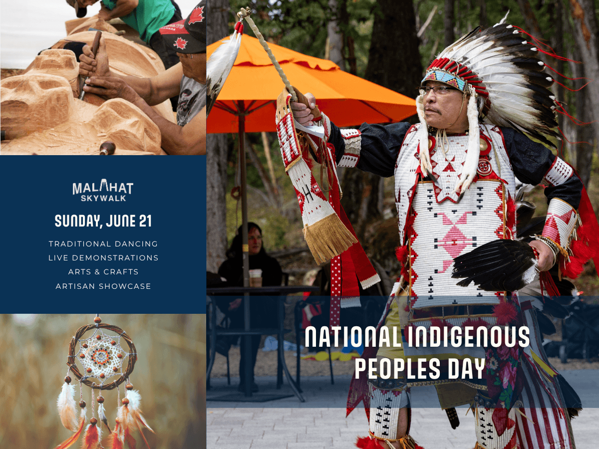 National Indigenous Peoples Day: A Day of Culture, Story & Celebration — Arts & Creative in Victoria